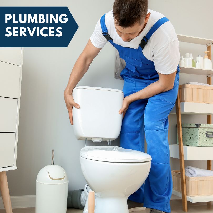 Plumbing Company in Freeburg, IL